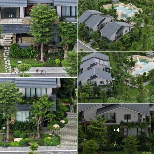 Real views from the Retreat Forest model villa at Eco Retreat