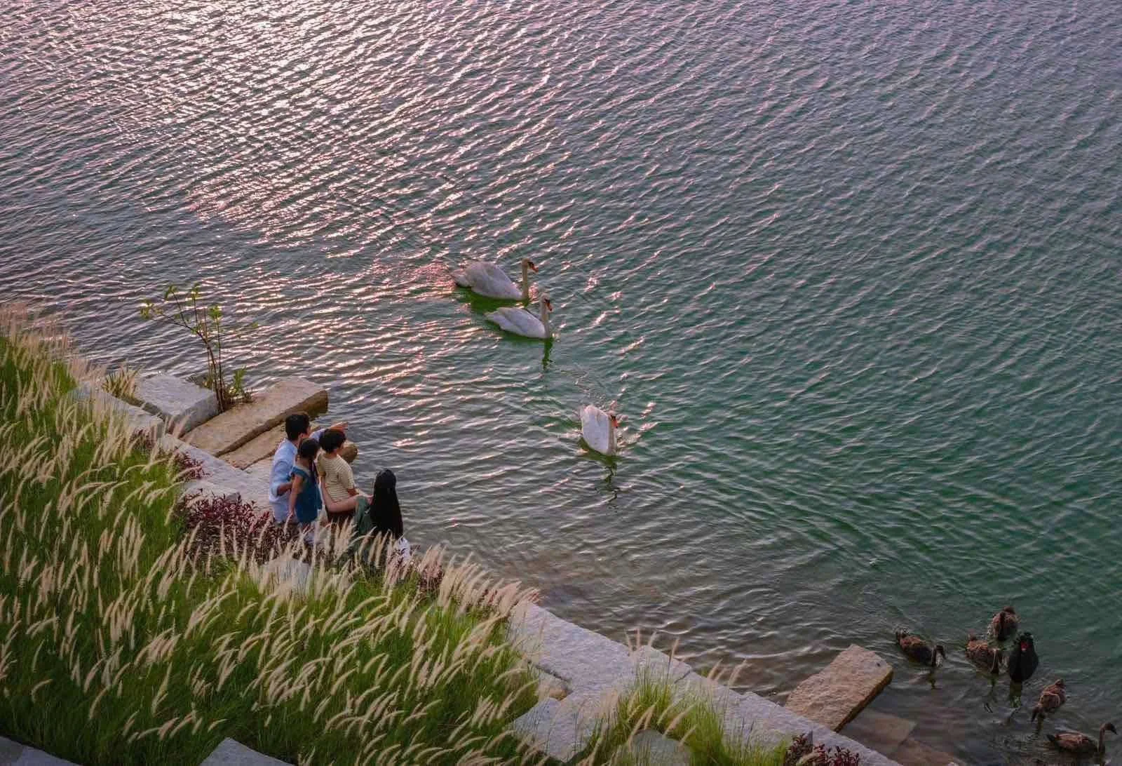 Island villa detail within Eco Retreat's ecological landscape