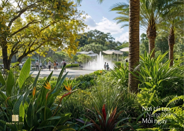 palm city palm river huynh vo gallery