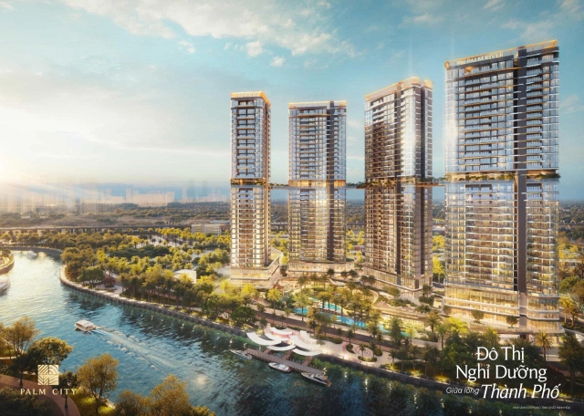 palm city palm river huynh vo gallery